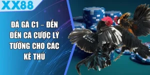 Đá Gà C1